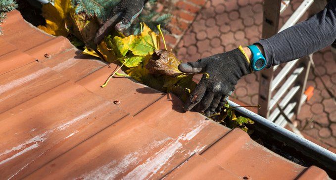 limpiarcanalonesapreciobaratoenbadalona 1920w